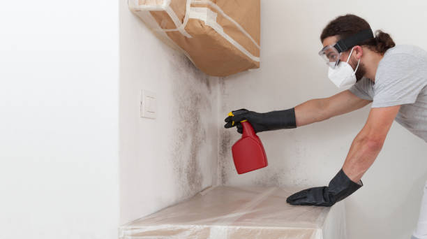 Professional Attic Mold Remediation technician working in Fort Myers, FL